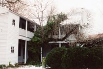 419 N Loudoun - storm damage